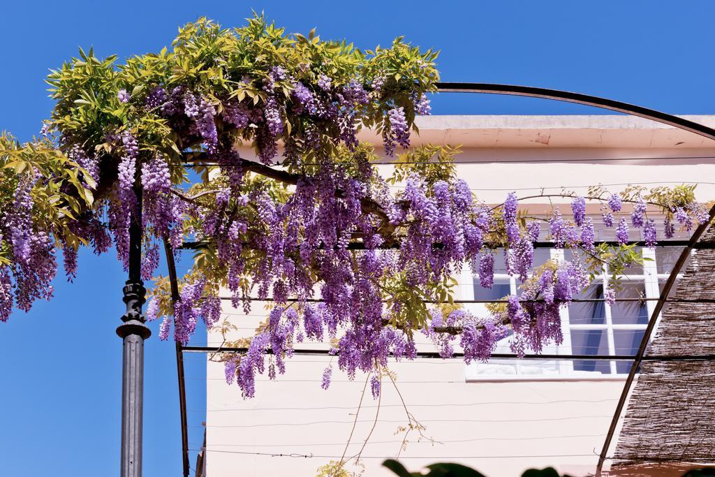 Hotel Can Roses Sóller Exterior foto